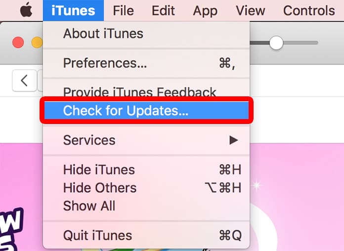 iphone doesn't show up in itunes