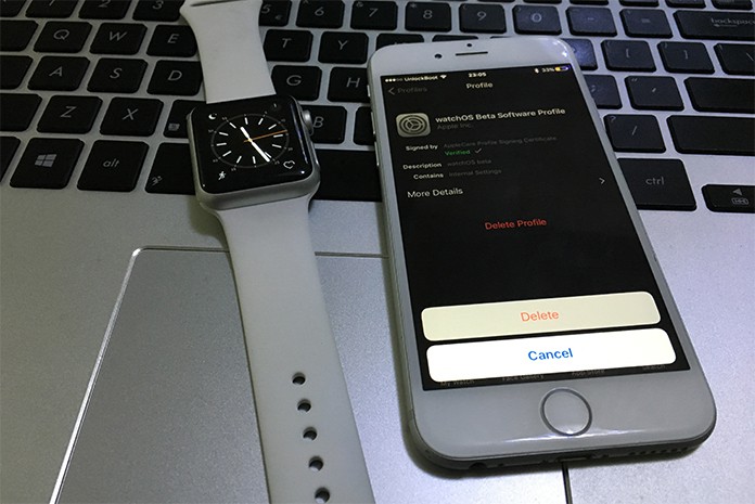 switch from watchos beta to official version
