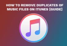 Remove Duplicates of Music Files on iTunes [Guide]