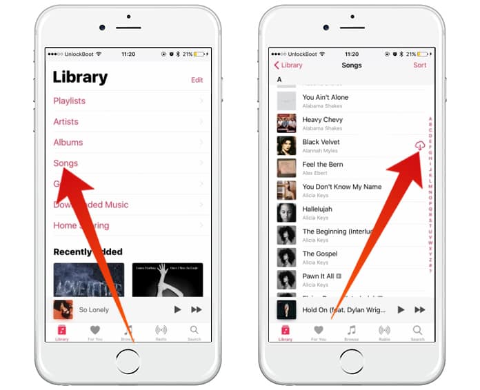 download all apple music to iphone