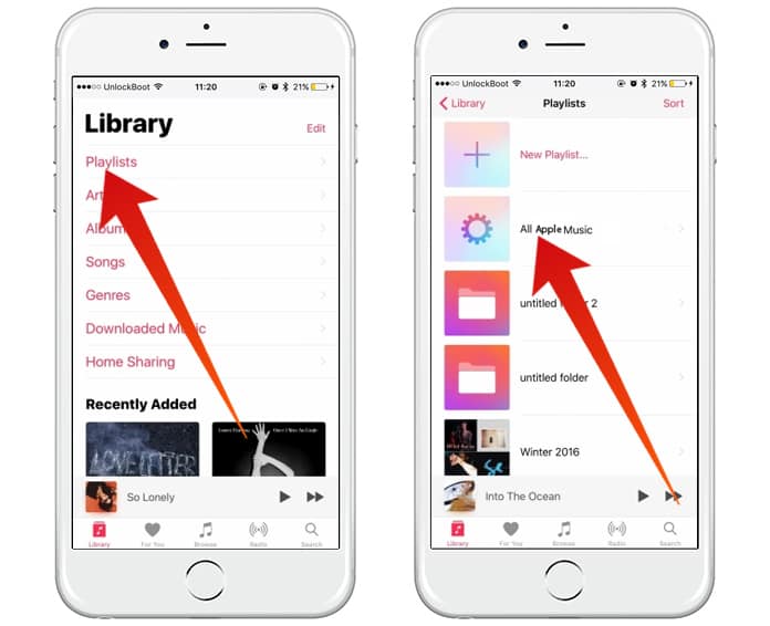 apple music download all songs