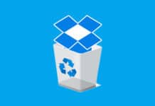 Guide to Clear Dropbox Cache on iPhone and Android