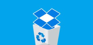 Guide to Clear Dropbox Cache on iPhone and Android
