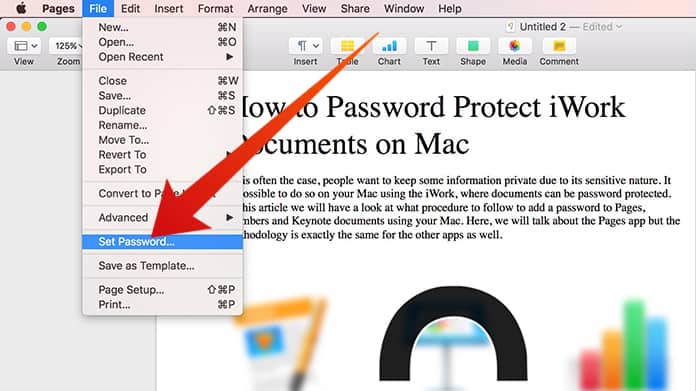password protect pages document