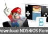 download nds4ios roms