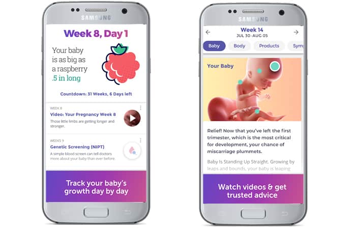 best pregnancy app for ipad