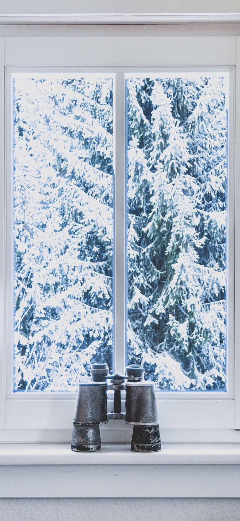 winter wallpaper for iphone xs